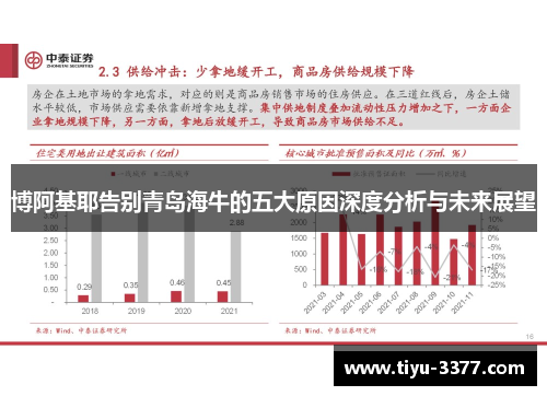 博阿基耶告别青岛海牛的五大原因深度分析与未来展望 博阿基耶告别青岛海牛的五大原因深度分析与未来展望
