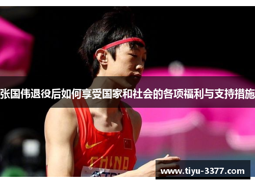 张国伟退役后如何享受国家和社会的各项福利与支持措施
