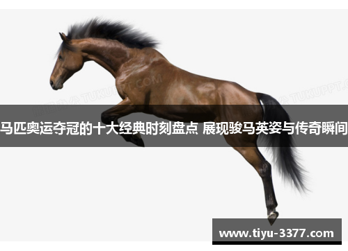 马匹奥运夺冠的十大经典时刻盘点 展现骏马英姿与传奇瞬间 马匹奥运夺冠的十大经典时刻盘点 展现骏马英姿与传奇瞬间