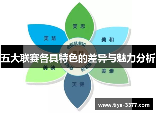 五大联赛各具特色的差异与魅力分析 五大联赛各具特色的差异与魅力分析