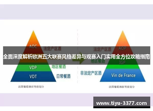 全面深度解析欧洲五大联赛风格差异与观赛入门实用全方位攻略指南