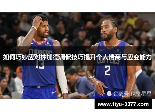 如何巧妙应对林加德调侃技巧提升个人情商与应变能力