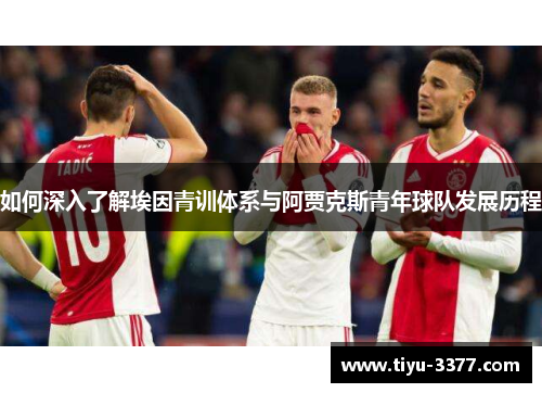 如何深入了解埃因青训体系与阿贾克斯青年球队发展历程