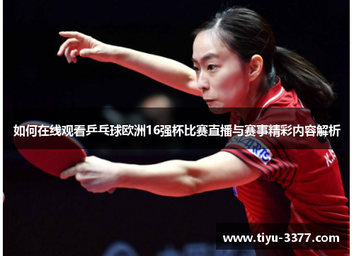 如何在线观看乒乓球欧洲16强杯比赛直播与赛事精彩内容解析 如何在线观看乒乓球欧洲16强杯比赛直播与赛事精彩内容解析