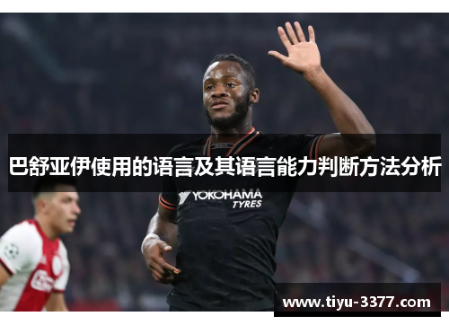 巴舒亚伊使用的语言及其语言能力判断方法分析