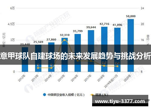 意甲球队自建球场的未来发展趋势与挑战分析